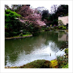 f:id:yukinko17:20100329231252j:image f:id:yukinko17:20100329231252j:image