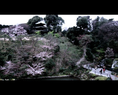 f:id:yukinko17:20100329231327j:image f:id:yukinko17:20100329231327j:image