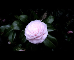 f:id:yukinko17:20100329231433j:image f:id:yukinko17:20100329231433j:image