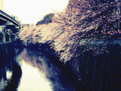 f:id:yukinko17:20100329231556j:image f:id:yukinko17:20100329231556j:image