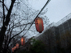 f:id:yukinko17:20100329231707j:image f:id:yukinko17:20100329231707j:image
