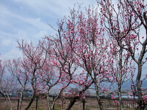 f:id:yukinko17:20100404121810j:image f:id:yukinko17:20100404121810j:image
