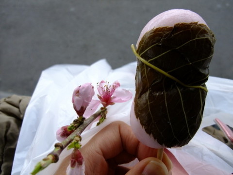 f:id:yukinko17:20100404154712j:image f:id:yukinko17:20100404154712j:image