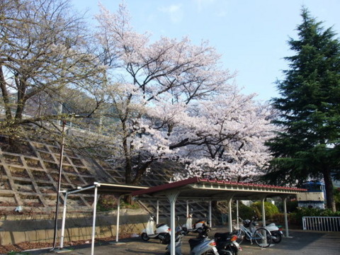 f:id:yukinko17:20100404162544j:image f:id:yukinko17:20100404162544j:image