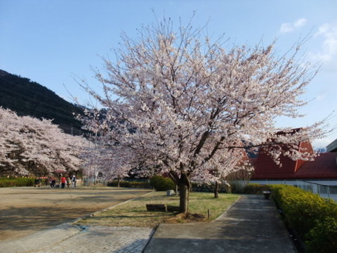 f:id:yukinko17:20100404162847j:image f:id:yukinko17:20100404162847j:image
