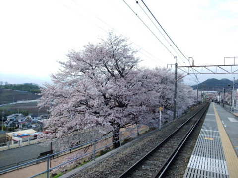 f:id:yukinko17:20100404164733j:image f:id:yukinko17:20100404164733j:image