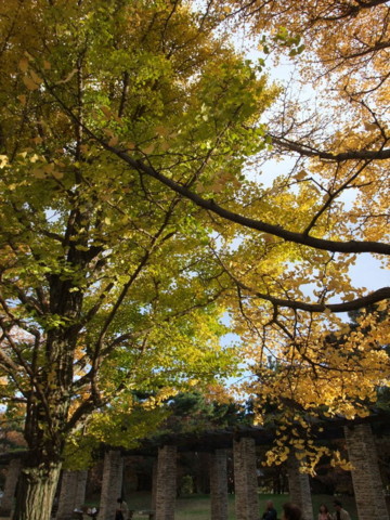 f:id:yukinko17:20101121151949j:image f:id:yukinko17:20101121151949j:image