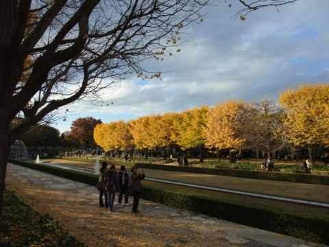 f:id:yukinko17:20101121152101j:image f:id:yukinko17:20101121152101j:image