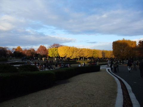 f:id:yukinko17:20101121153741j:image f:id:yukinko17:20101121153741j:image