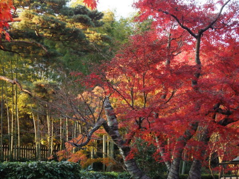 f:id:yukinko17:20101121160338j:image f:id:yukinko17:20101121160338j:image