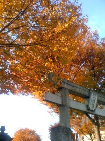 f:id:yukinko17:20101129103144j:image f:id:yukinko17:20101129103144j:image