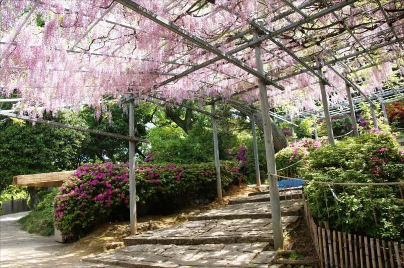 f:id:yukino0804:20210309171734j:plain