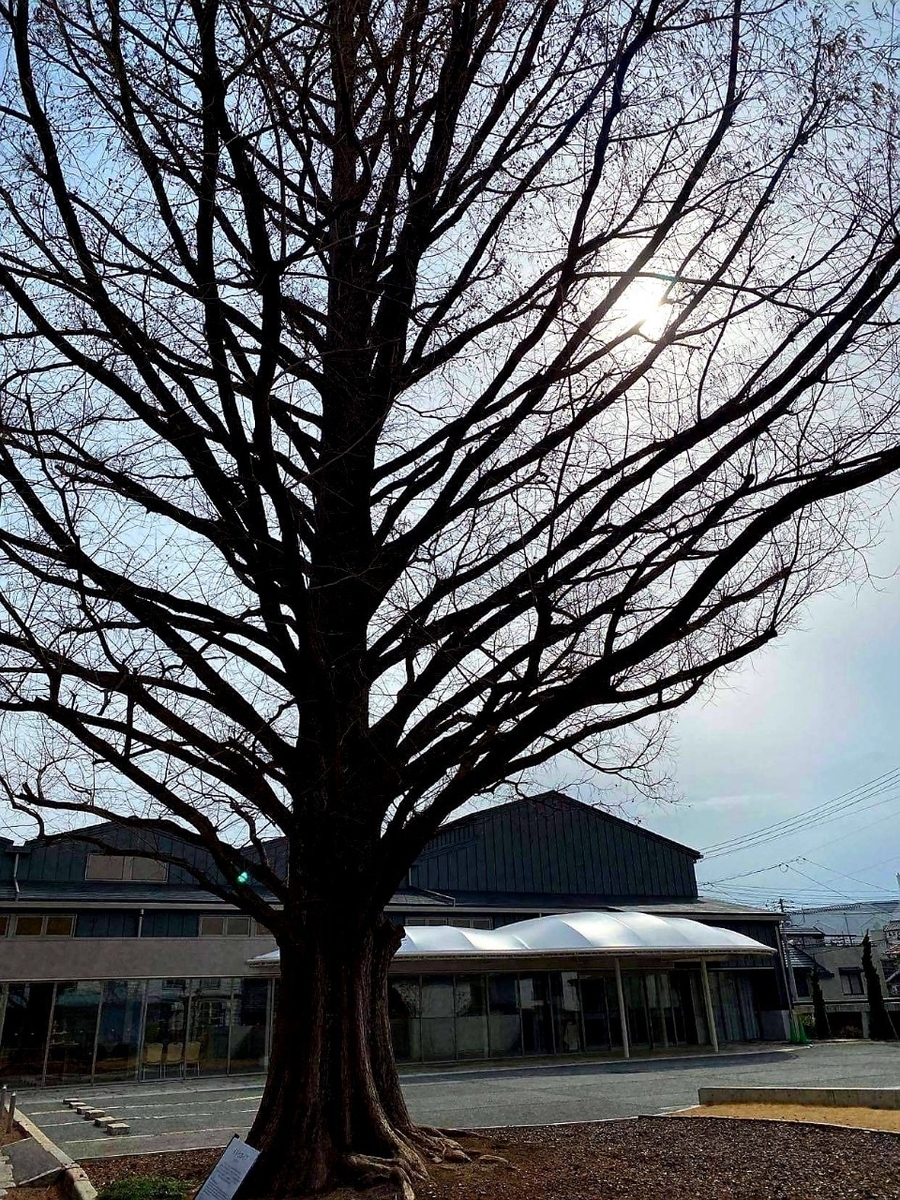 f:id:yukino0804:20210309172346j:plain