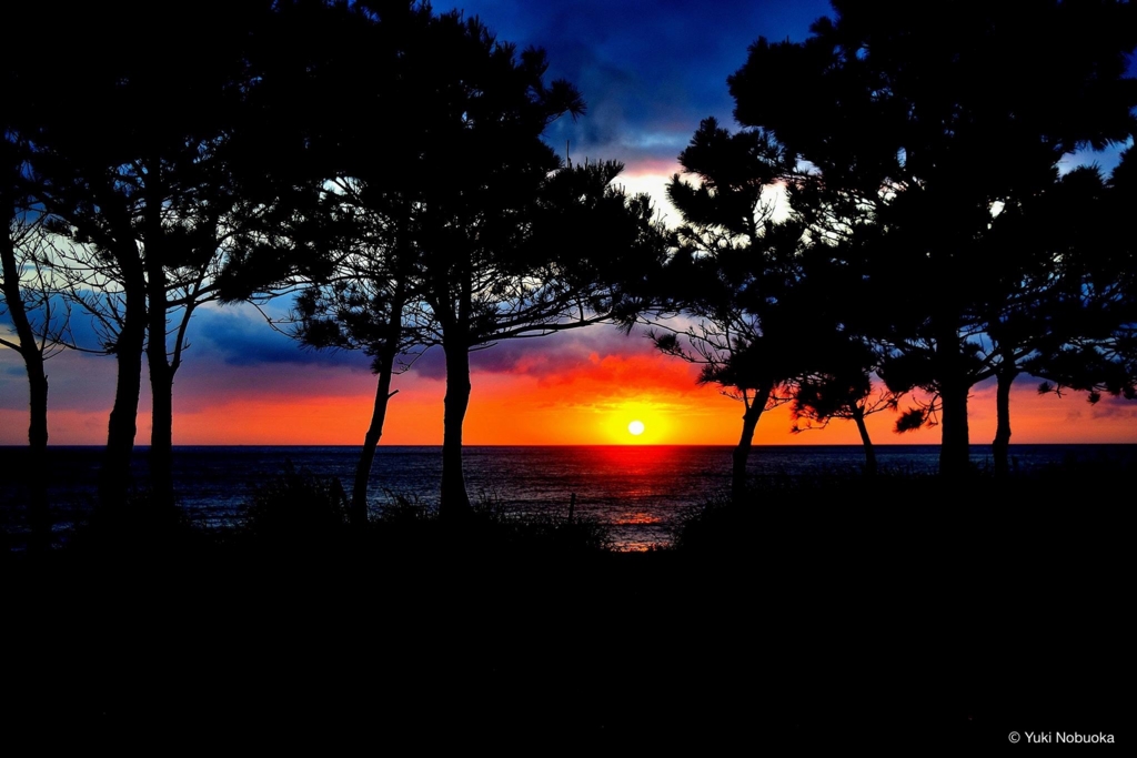 屋久島での夕日 photo by Yuki Nobuoka 屋久島での夕日 photo by Yuki Nobuoka