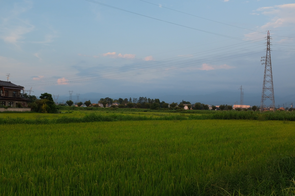 f:id:yukinohini-yusa:20200220205802j:plain f:id:yukinohini-yusa:20200220205802j:plain