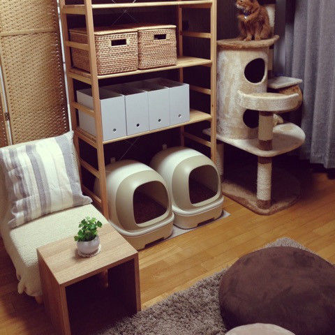 猫さんのための部屋づくり フツウノコト