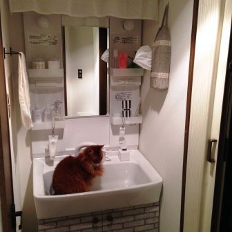washroom