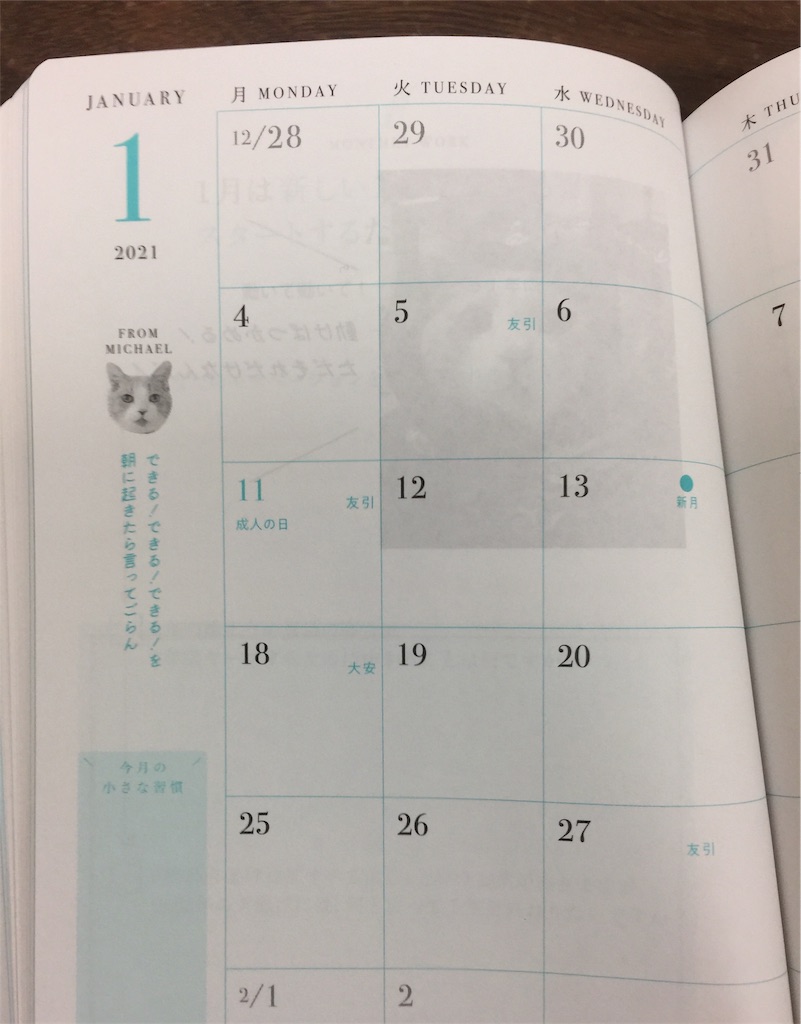 f:id:yukinosita-tamasudare:20210118163836j:image