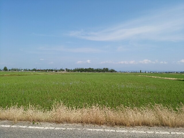 f:id:yukio_kato:20160624180928j:plain f:id:yukio_kato:20160624180928j:plain
