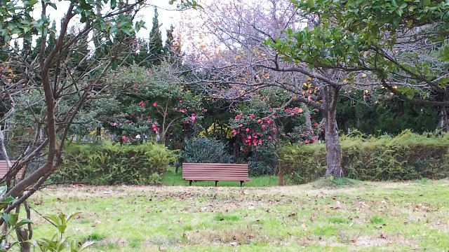 f:id:yukio_kato:20190207121559j:plain f:id:yukio_kato:20190207121559j:plain