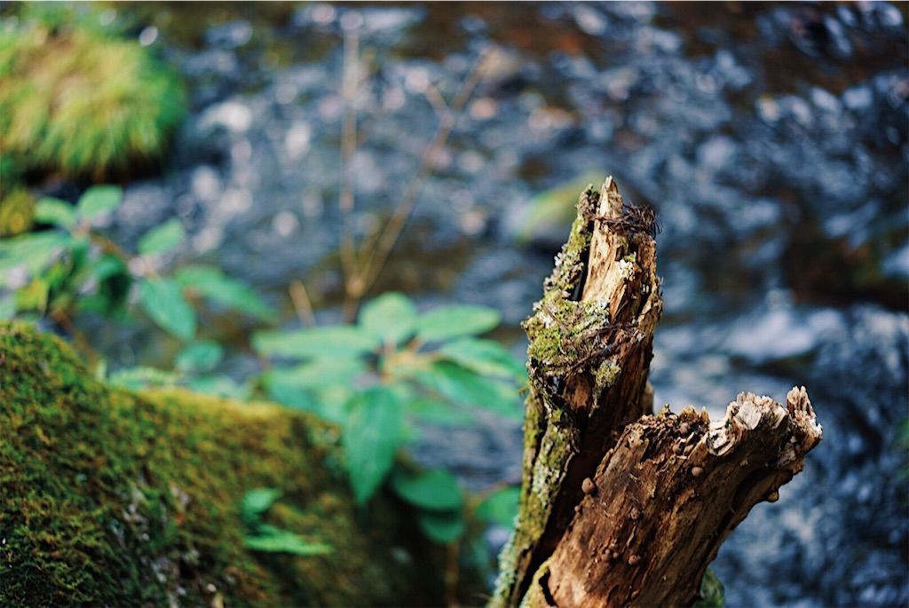 f:id:yukionoda:20190430160421j:image f:id:yukionoda:20190430160421j:image