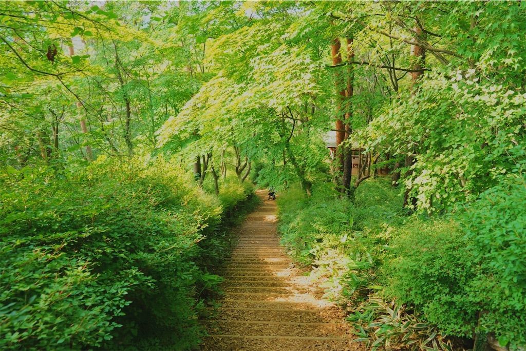 f:id:yukionoda:20190615010152j:image