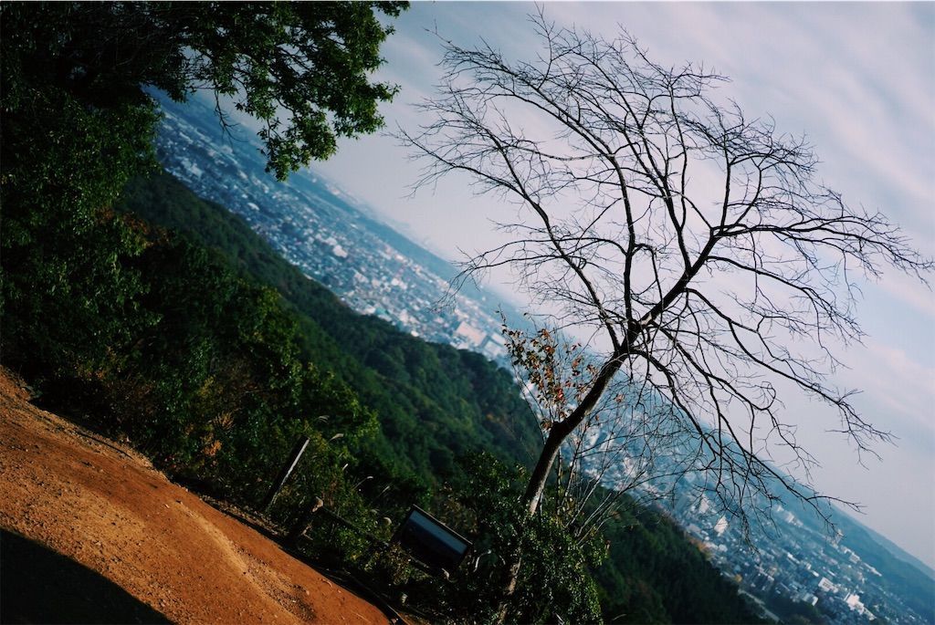 f:id:yukionoda:20190615010450j:image