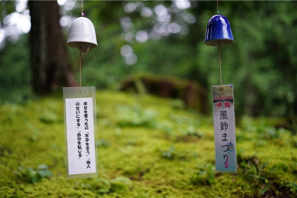 日光東照宮を写す【SONYα7Ⅲ × Sonnar T* FE 55mm F1.8 ZA