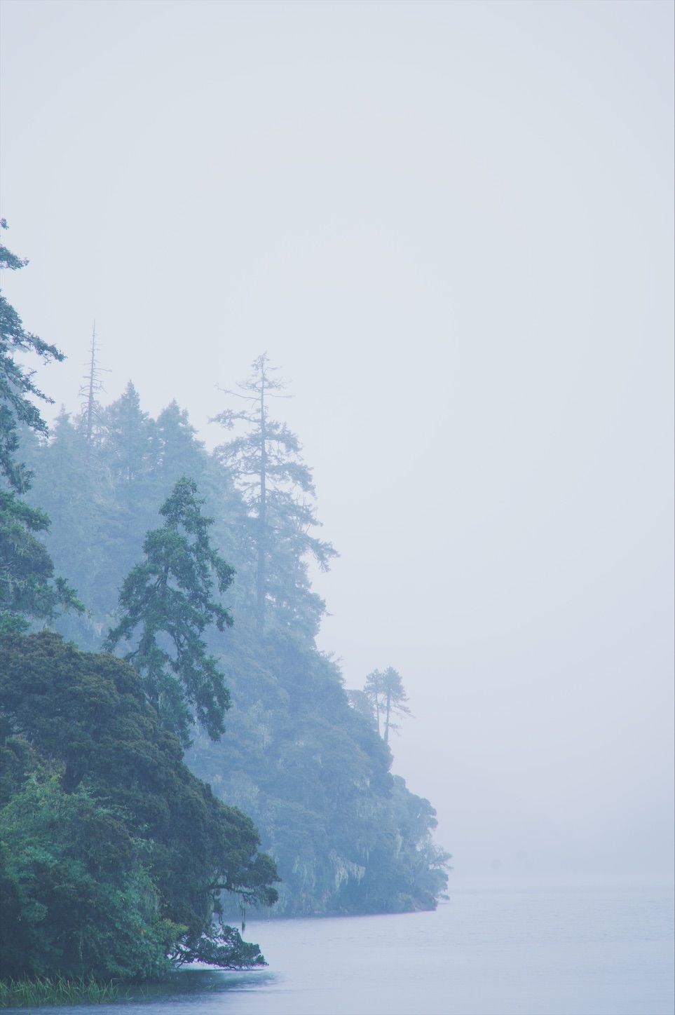 f:id:yukionoda:20220930150137j:image