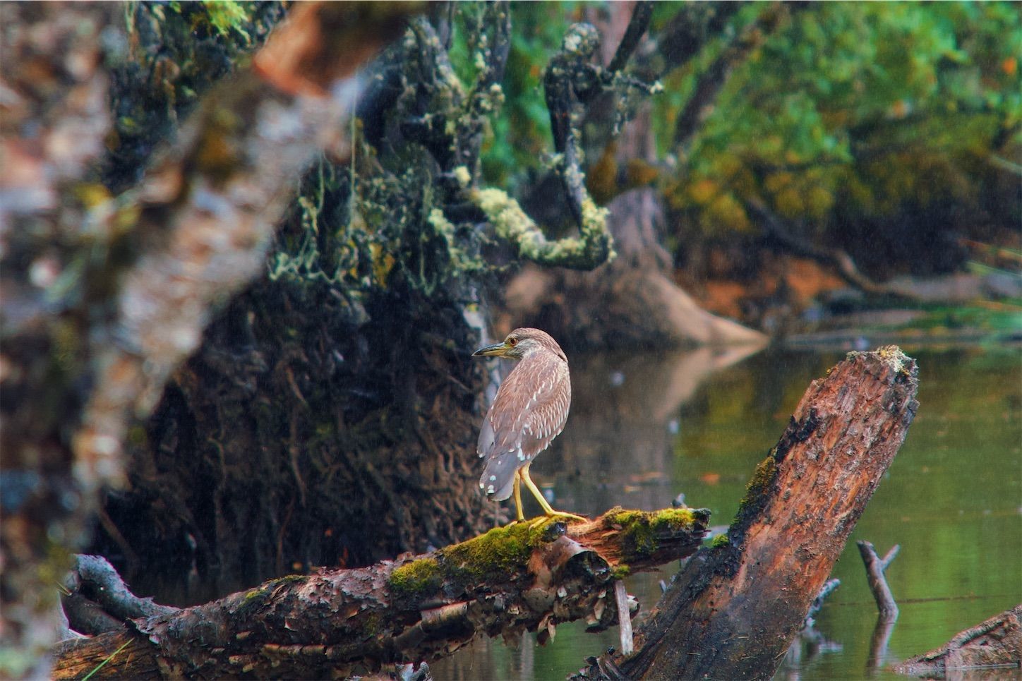 f:id:yukionoda:20220930150147j:image