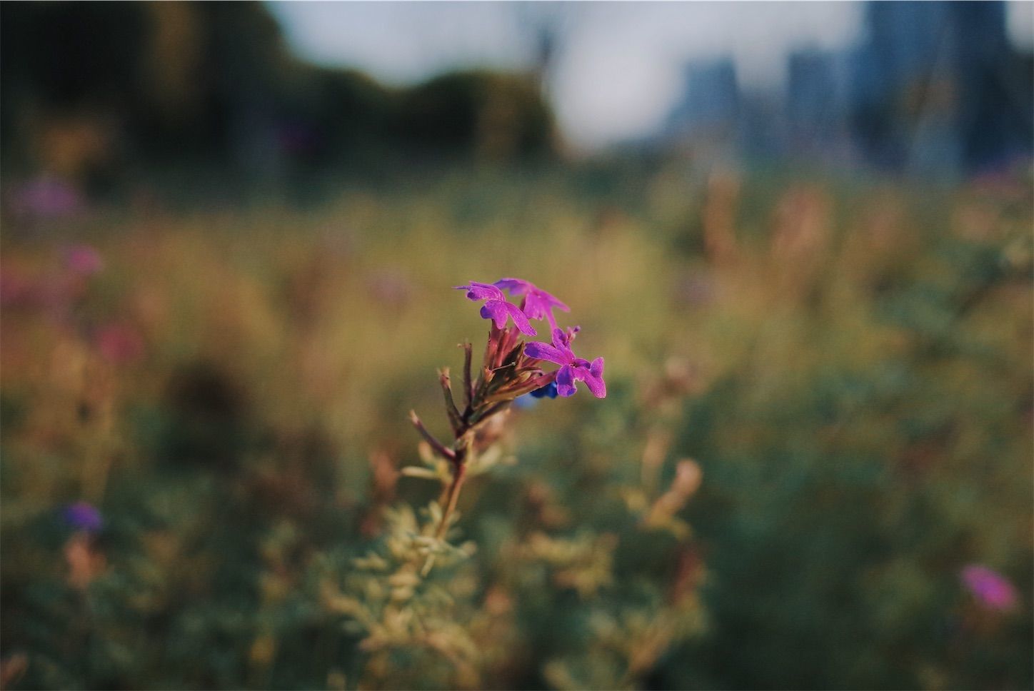 f:id:yukionoda:20221012180816j:image