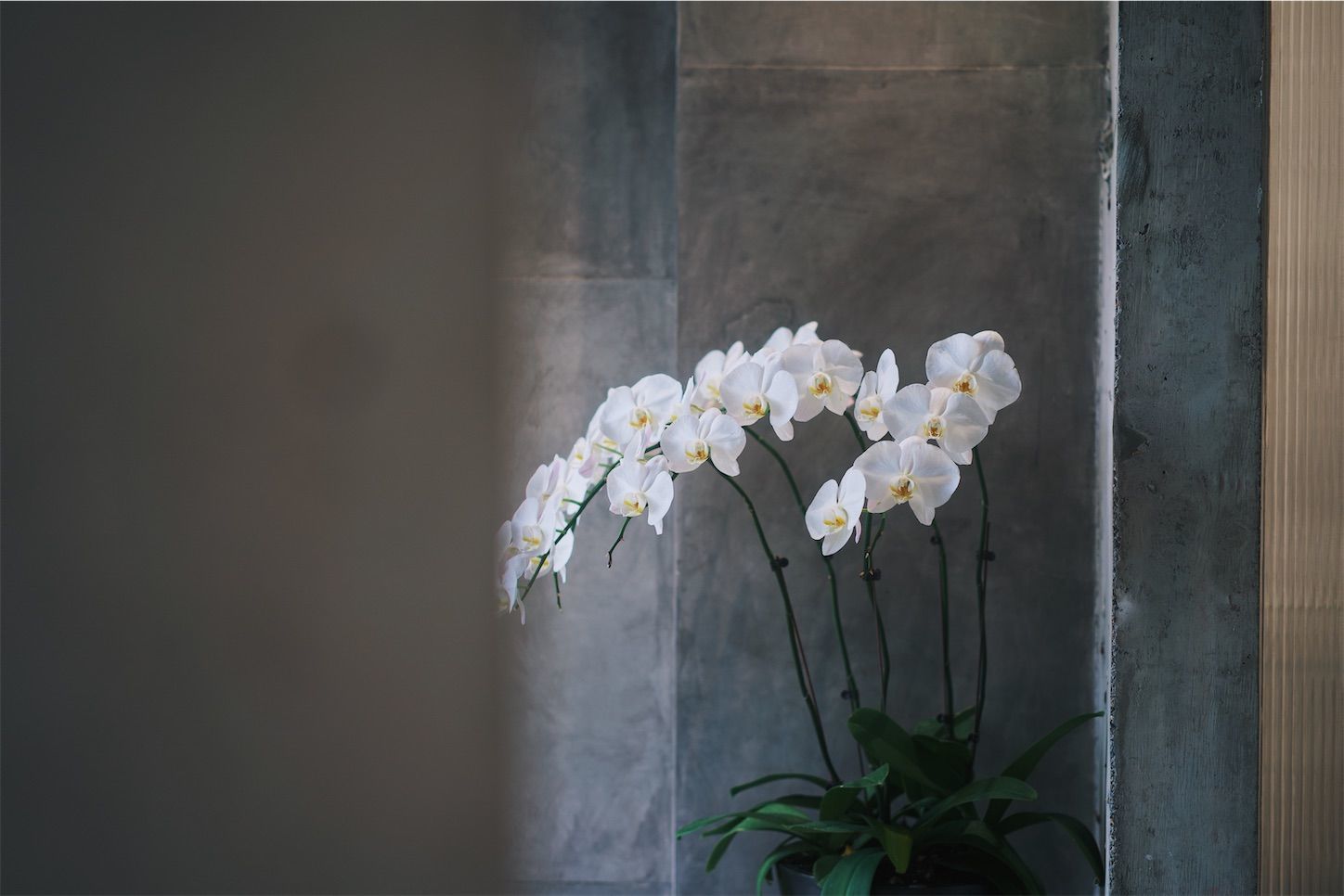 f:id:yukionoda:20221027163631j:image