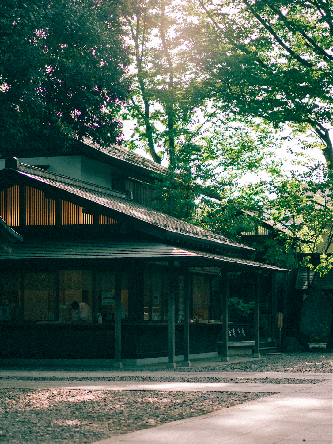 f:id:yukionoda:20230726112813p:image