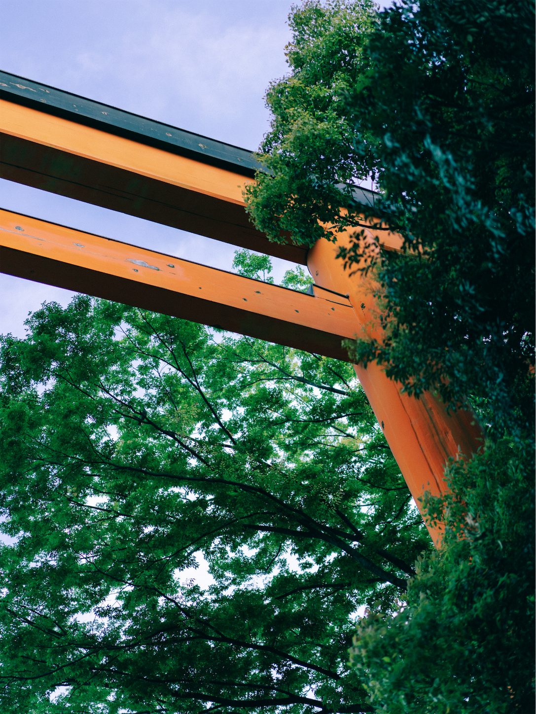 f:id:yukionoda:20230726112823p:image