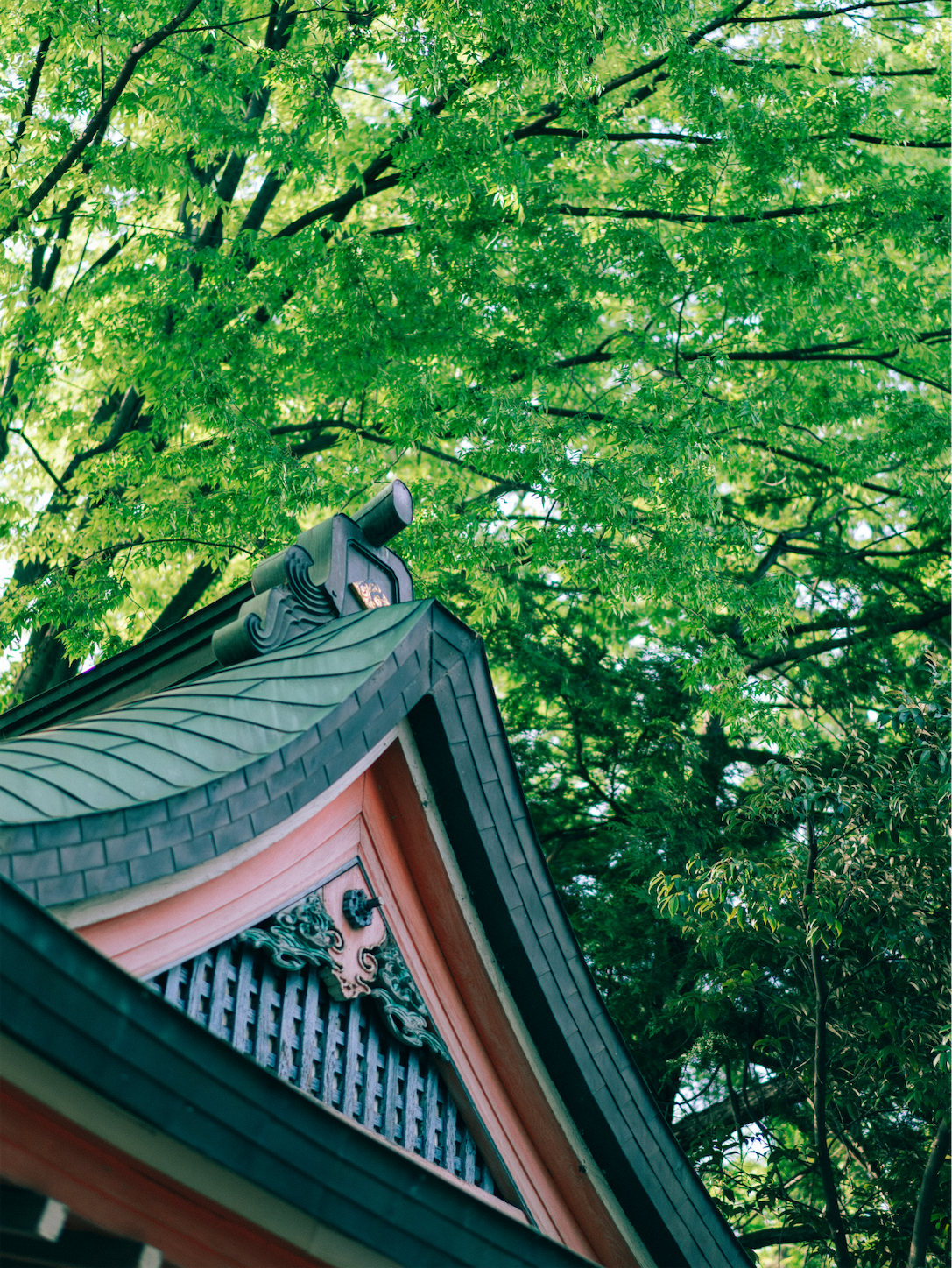 f:id:yukionoda:20230726112905p:image