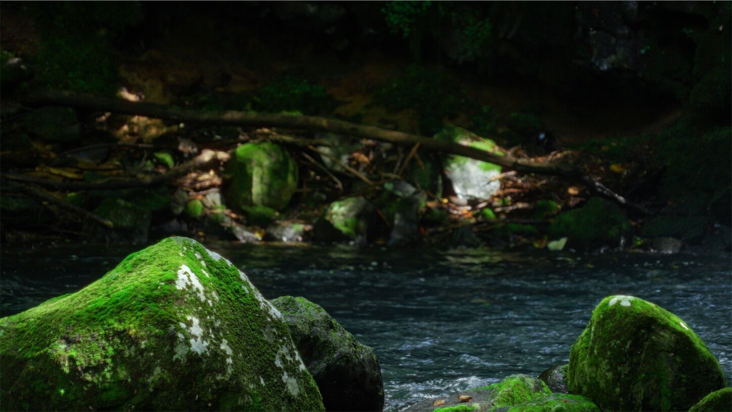 f:id:yukionoda:20230930111211j:image f:id:yukionoda:20230930111211j:image