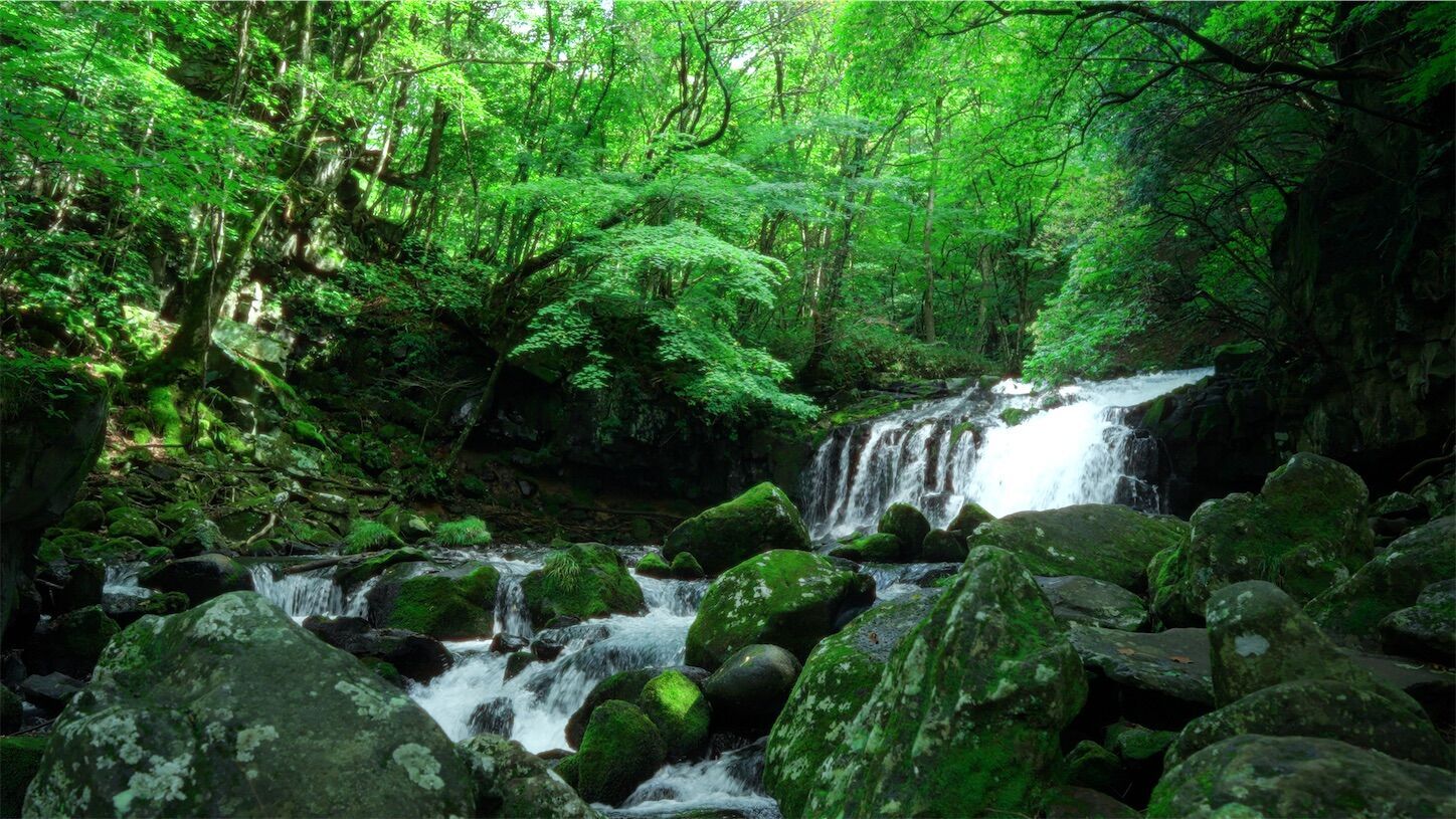 f:id:yukionoda:20230930111220j:image f:id:yukionoda:20230930111220j:image