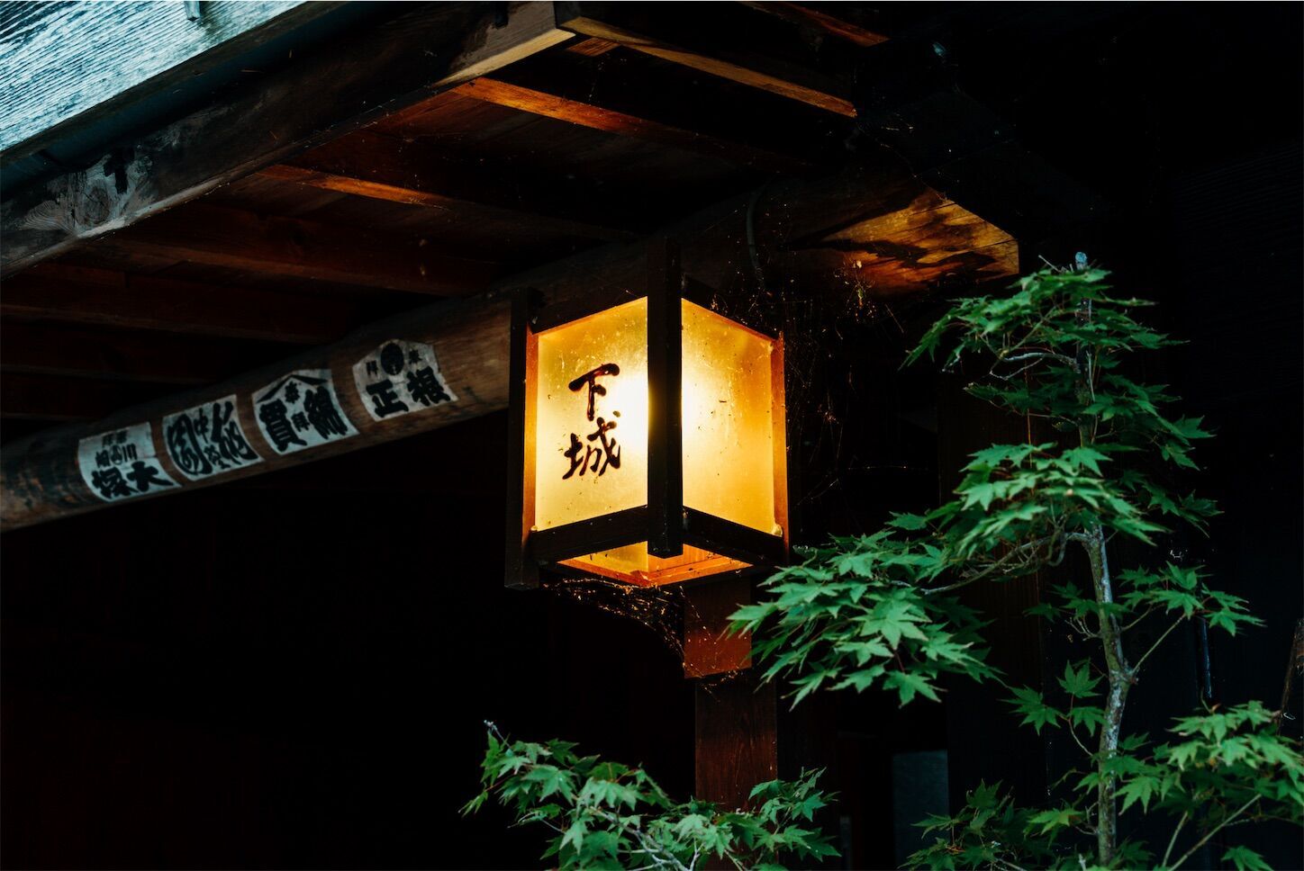f:id:yukionoda:20231107115209j:image