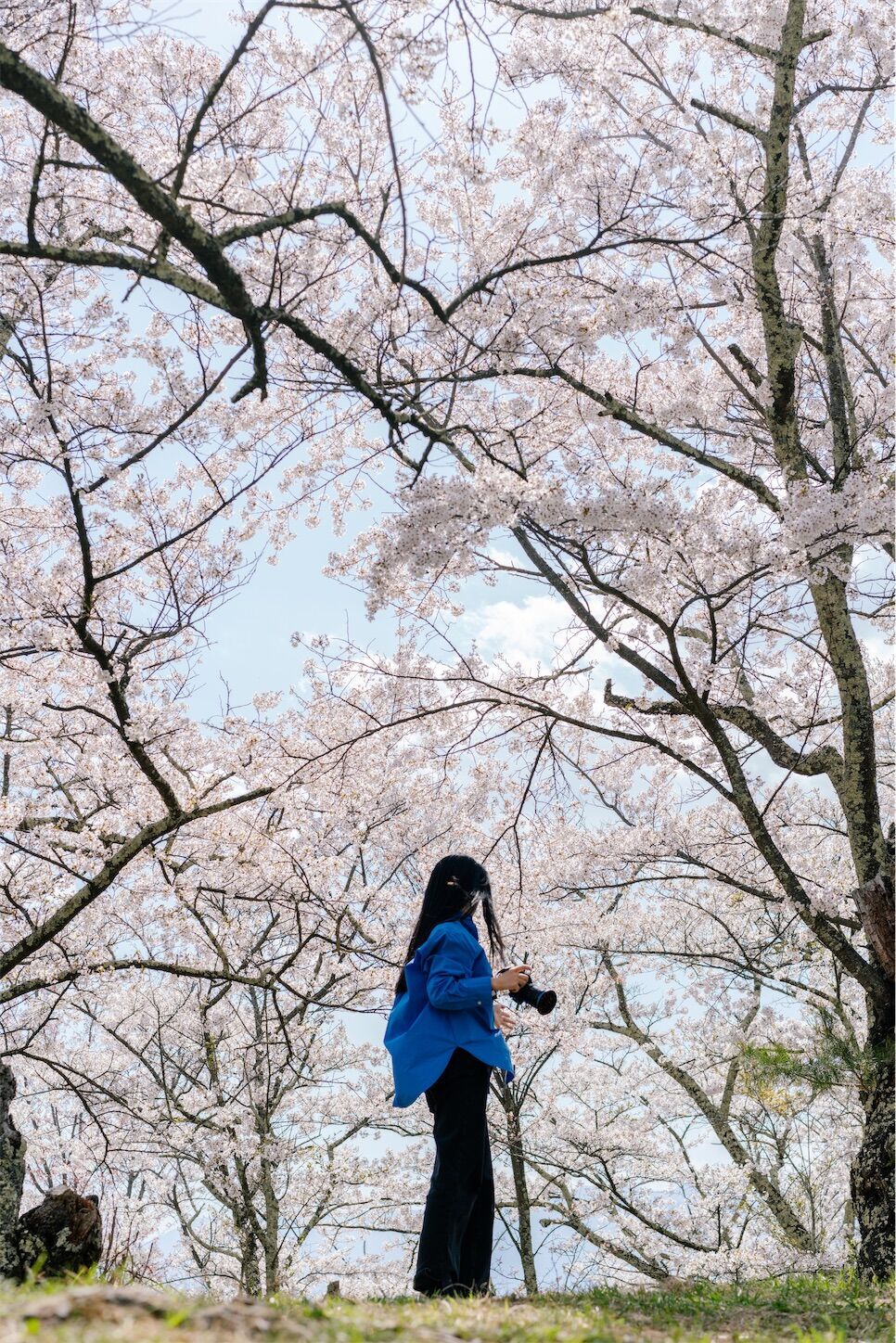 f:id:yukionoda:20240512220156j:image