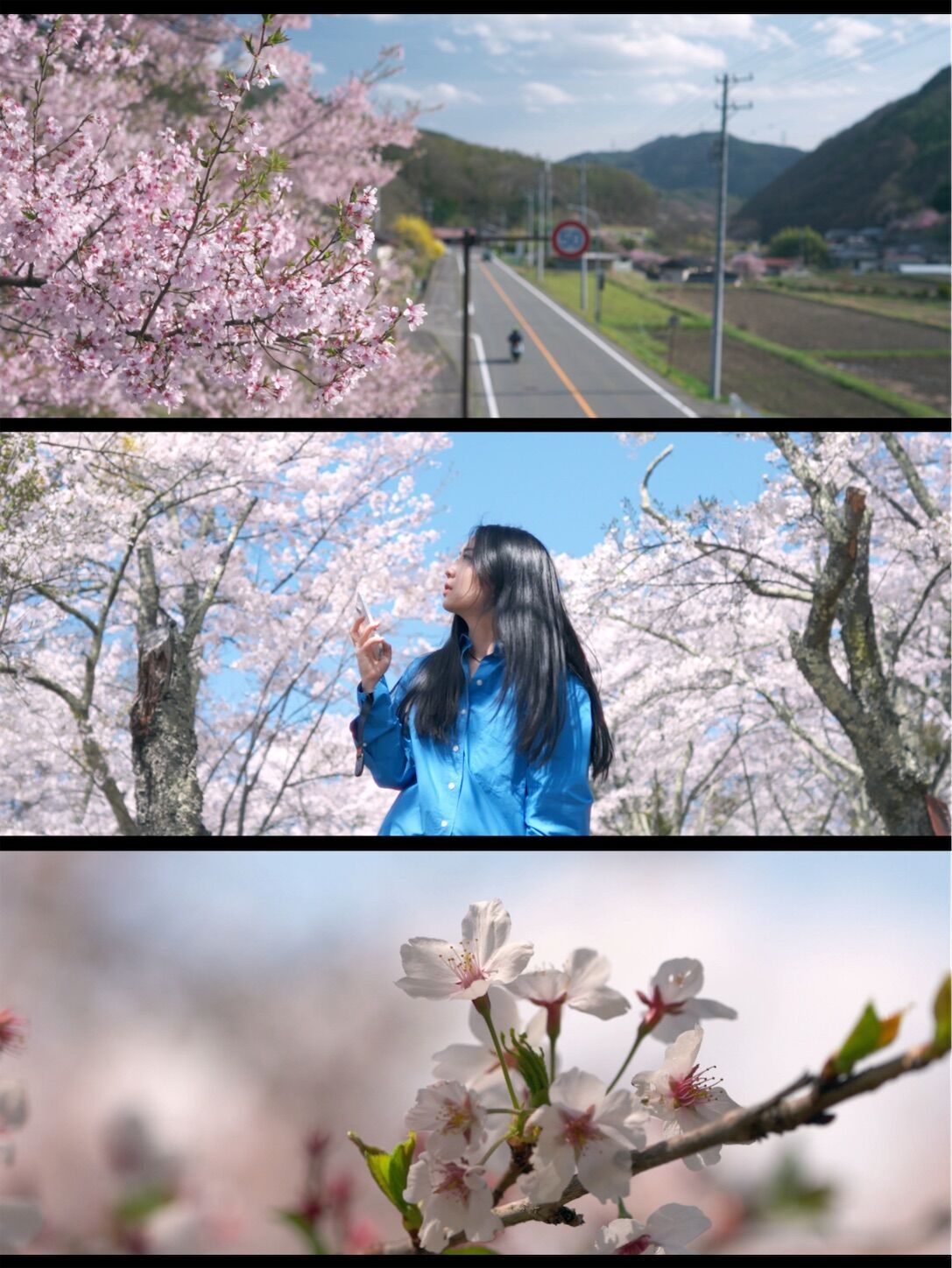 絶景の桜を求めてハイキング in 長野｜Sony ZV-E1＆α7R5 - でぃ