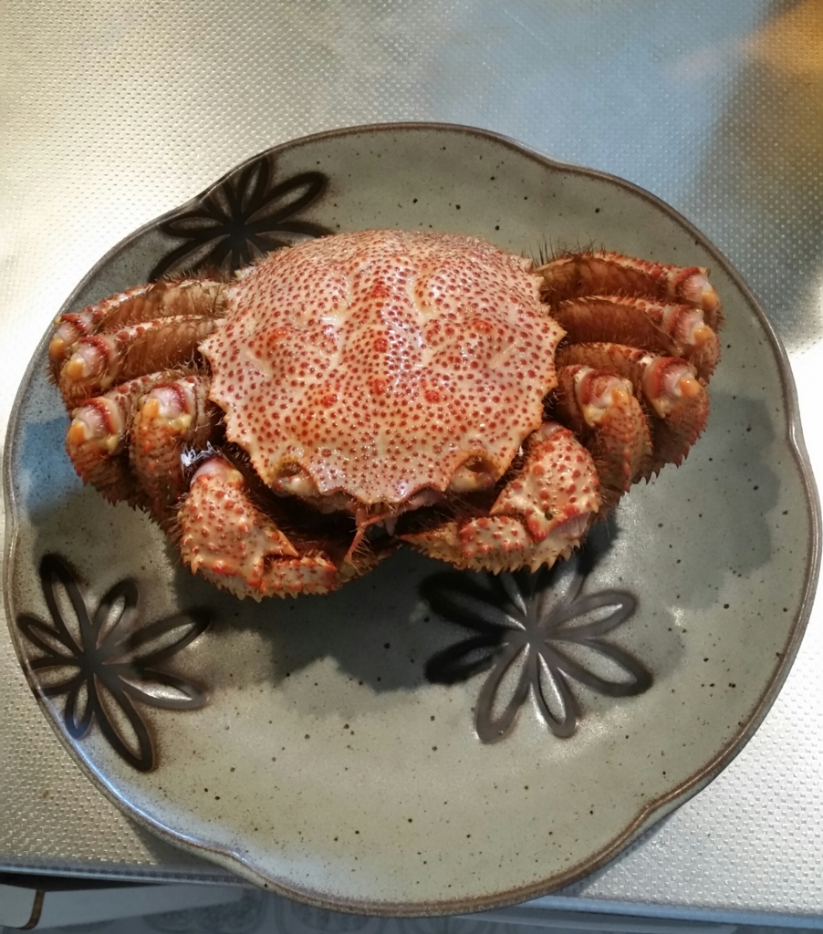 f:id:yukiosononoka:20180329004502j:plain f:id:yukiosononoka:20180329004502j:plain