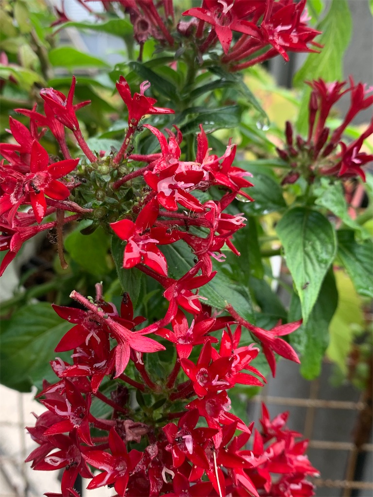 f:id:yukiotthi:20260627124615j:image f:id:yukiotthi:20260627124615j:image