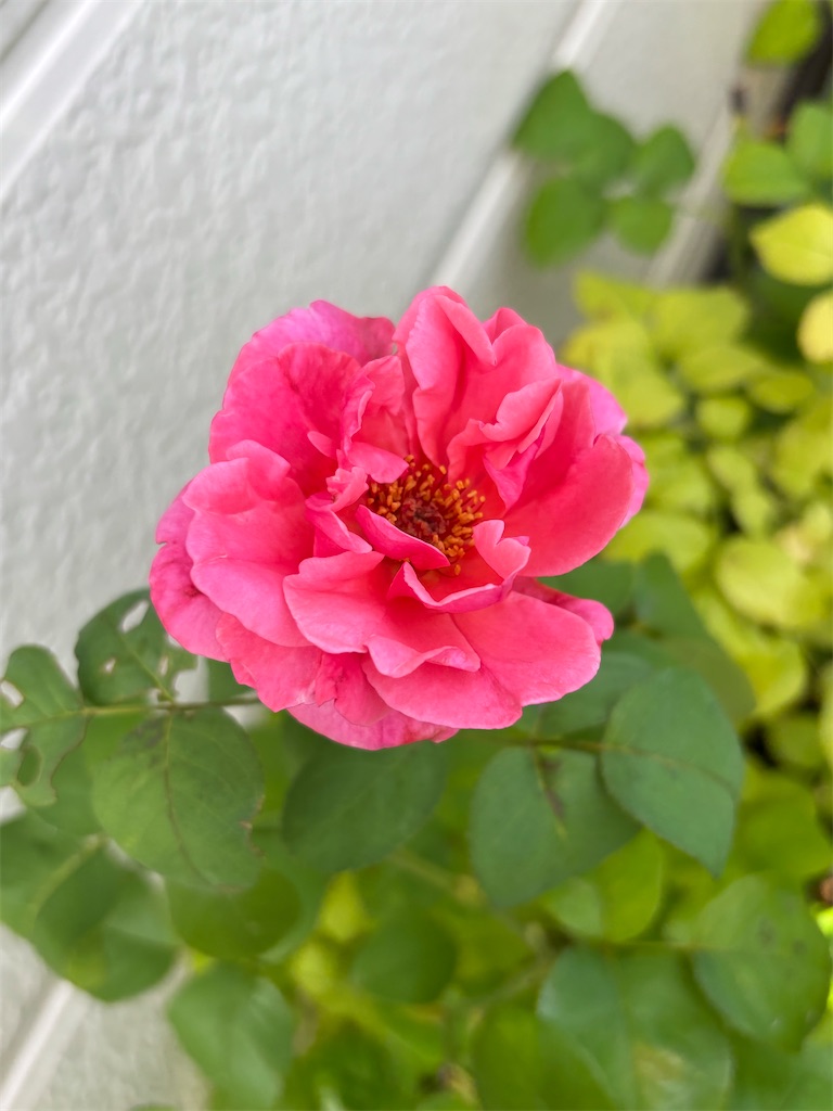 f:id:yukiotthi:20260809140856j:image f:id:yukiotthi:20260809140856j:image