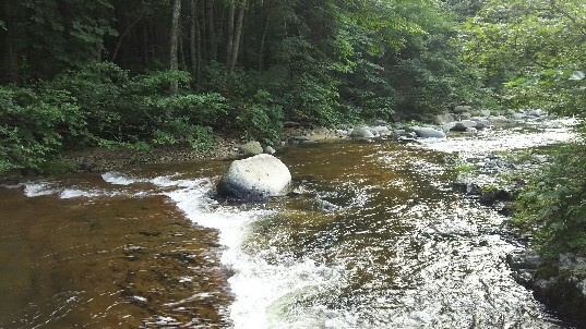 f:id:yukirikupapa:20190916184753j:plain