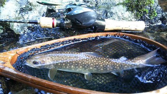 f:id:yukirikupapa:20190916184840j:plain