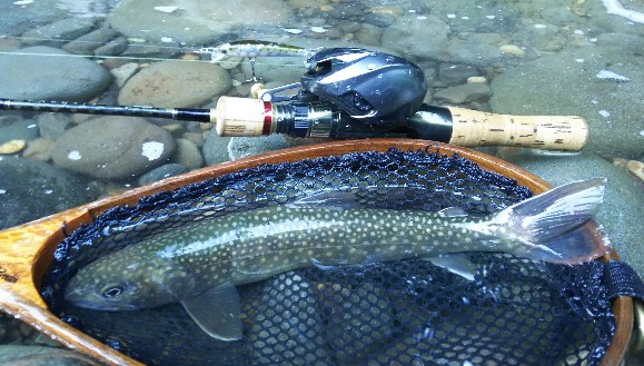 f:id:yukirikupapa:20190918075812j:plain