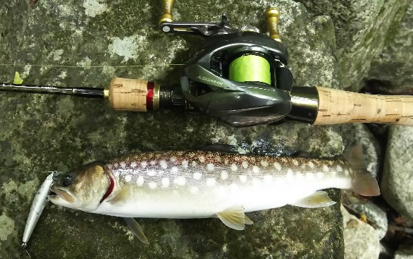 f:id:yukirikupapa:20190923184840j:plain