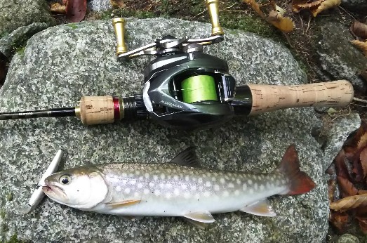 f:id:yukirikupapa:20190923184949j:plain