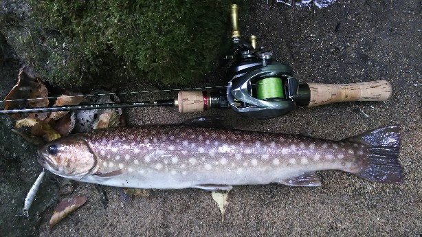 f:id:yukirikupapa:20190923185332j:plain