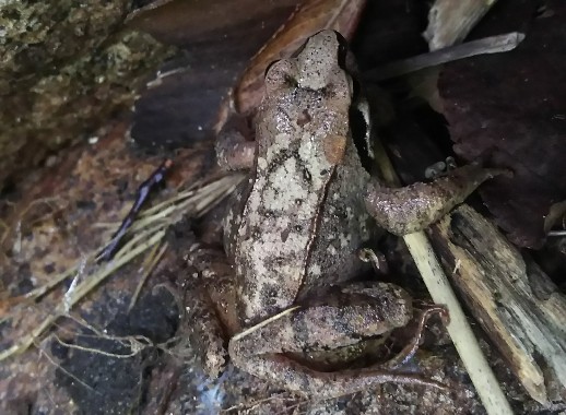 f:id:yukirikupapa:20190923190014j:plain